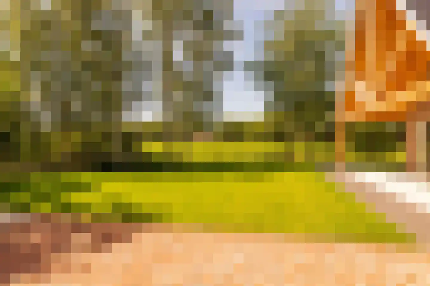 Oshaarseweg 23 a Echten thumbnail 62