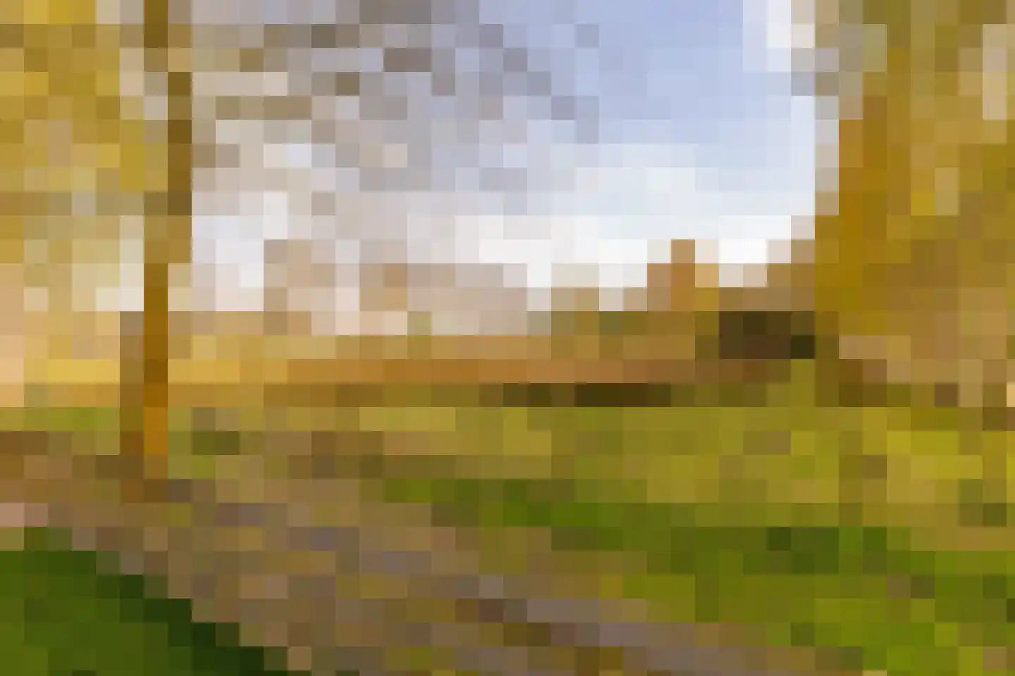 Oshaarseweg 23 a Echten thumbnail 62