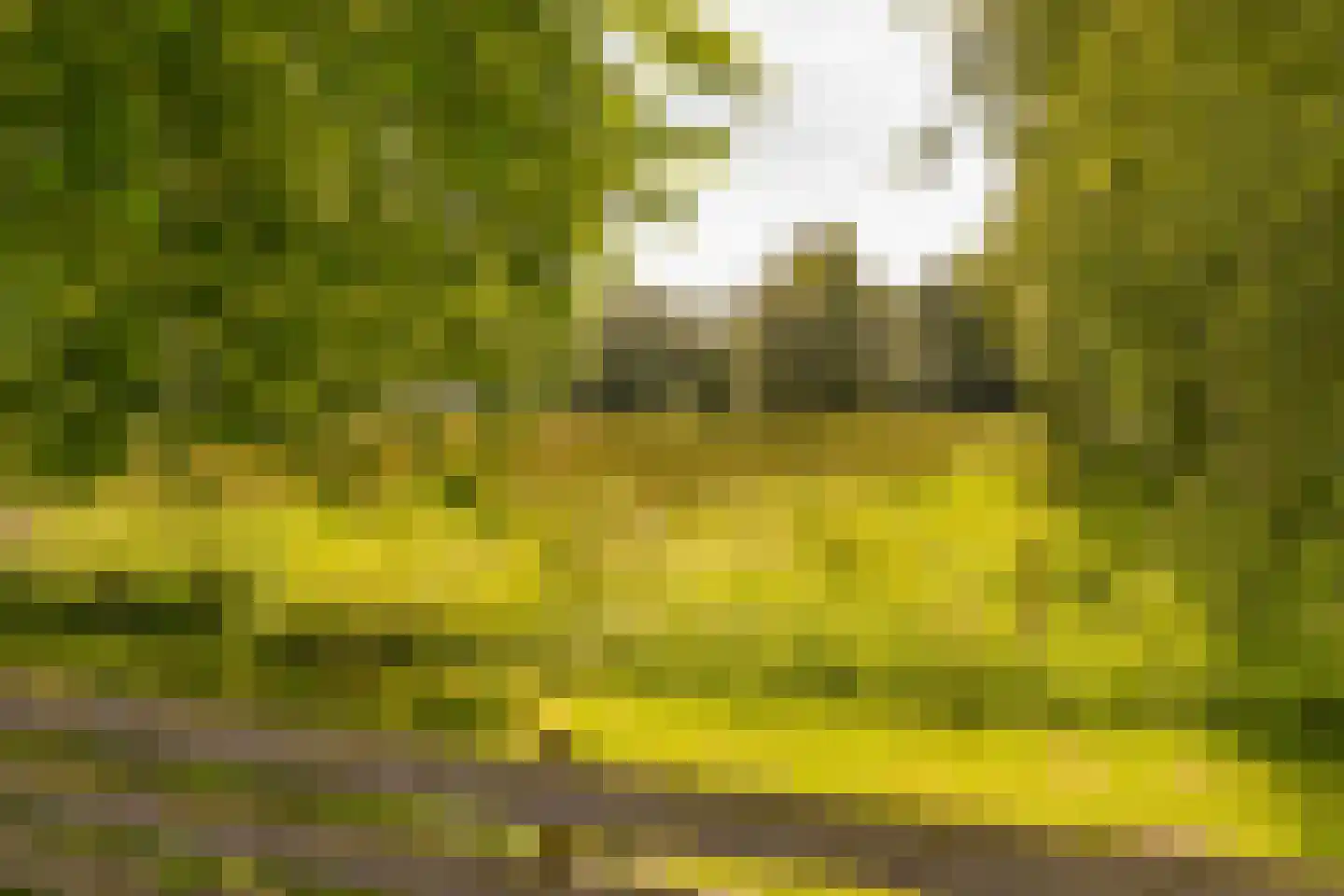 Oshaarseweg 23 a Echten thumbnail 63