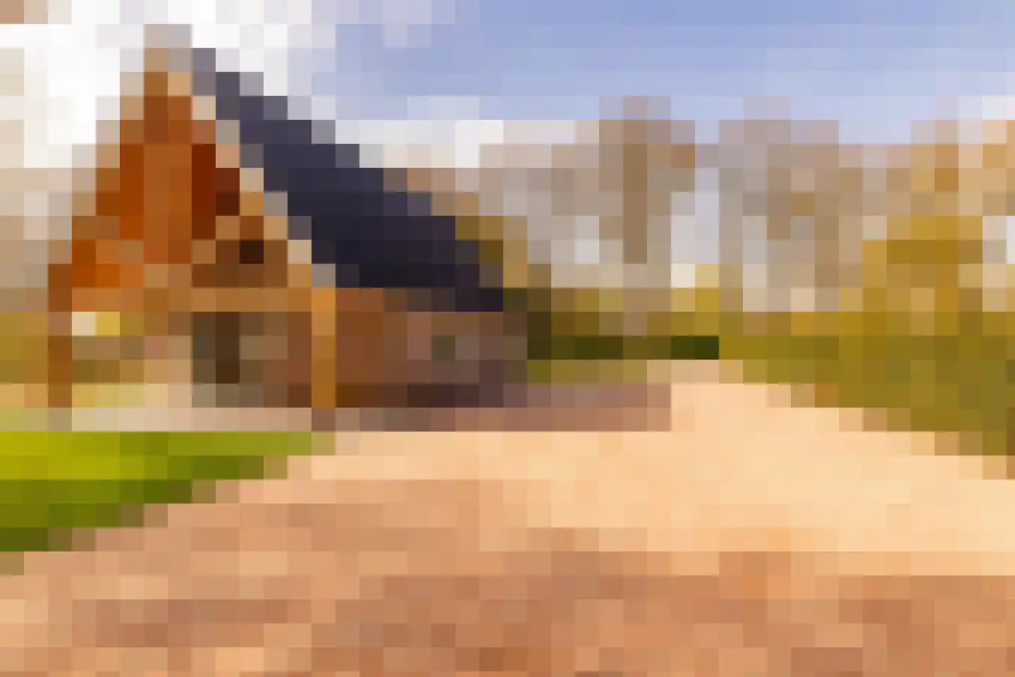 Oshaarseweg 23 a Echten thumbnail 63