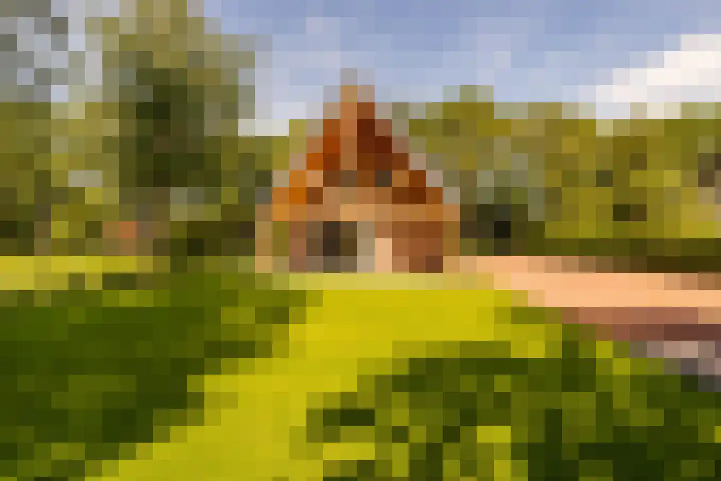 Oshaarseweg 23 a Echten thumbnail 64