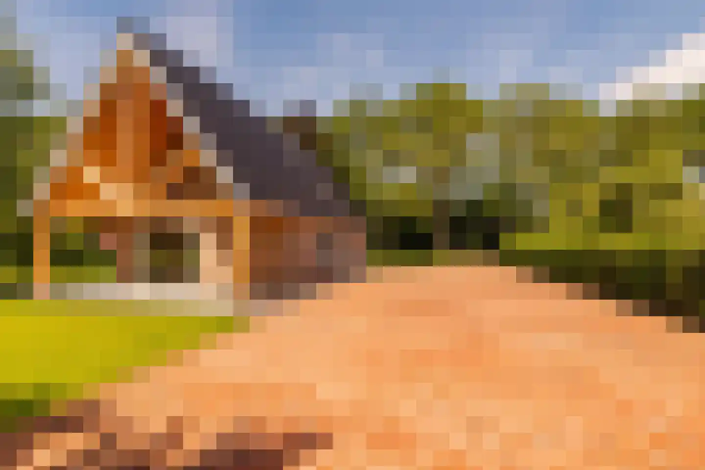Oshaarseweg 23 a Echten thumbnail 65