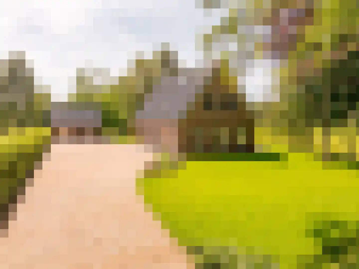 Oshaarseweg 23 a Echten thumbnail 66