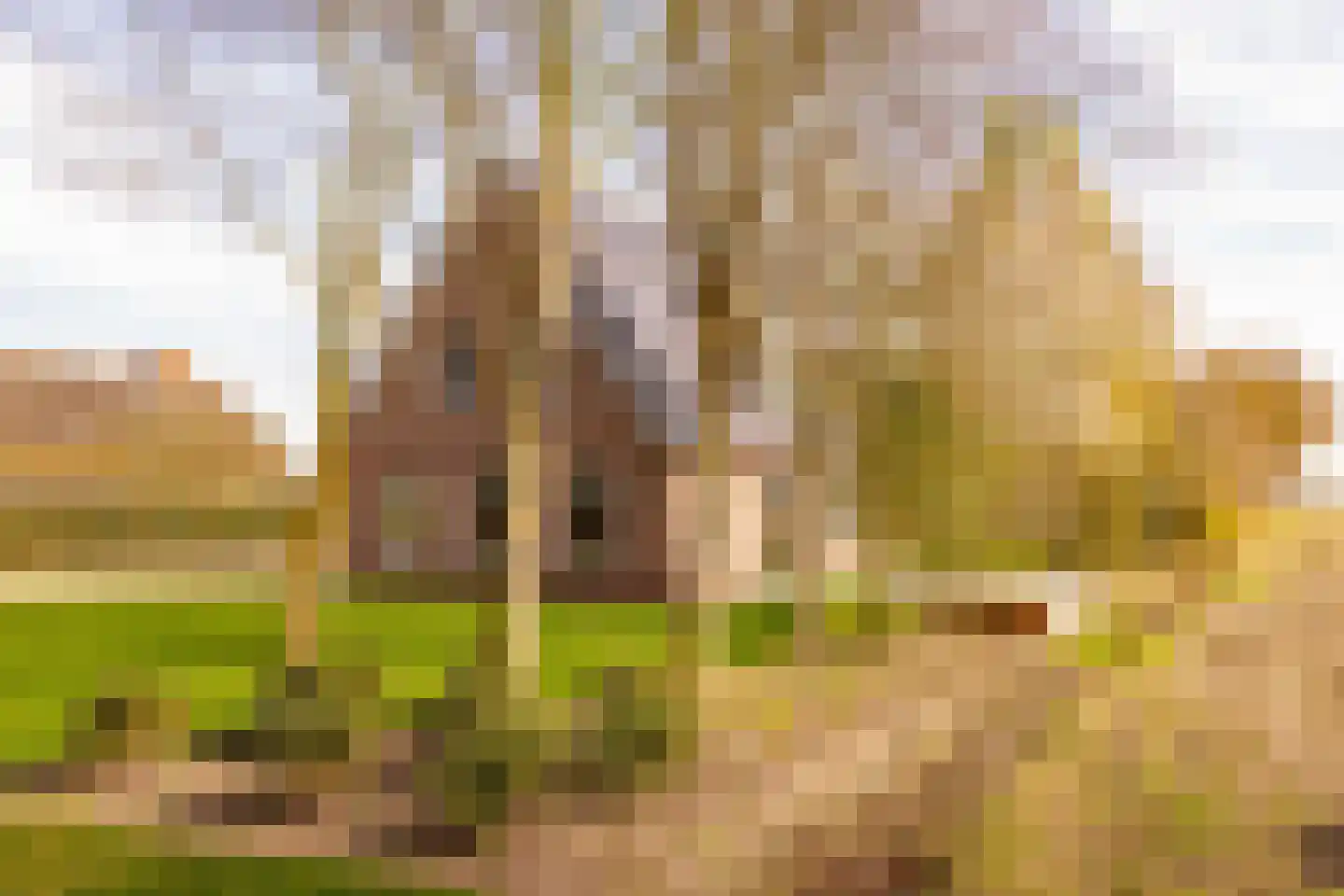 Oshaarseweg 23 a Echten thumbnail 66