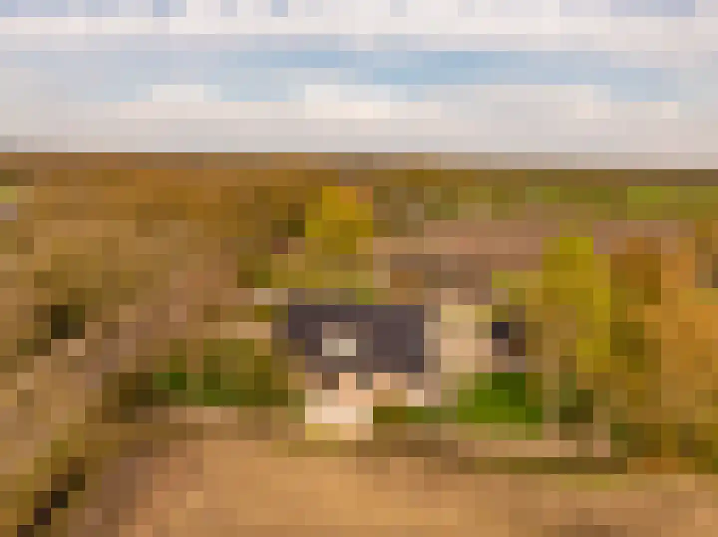 Oshaarseweg 23 a Echten thumbnail 67