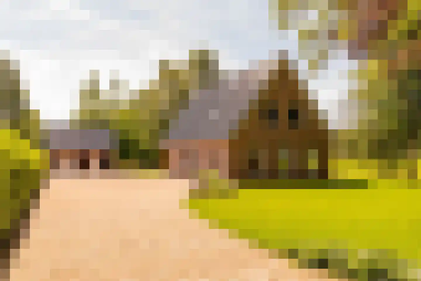 Oshaarseweg 23 a Echten thumbnail 67