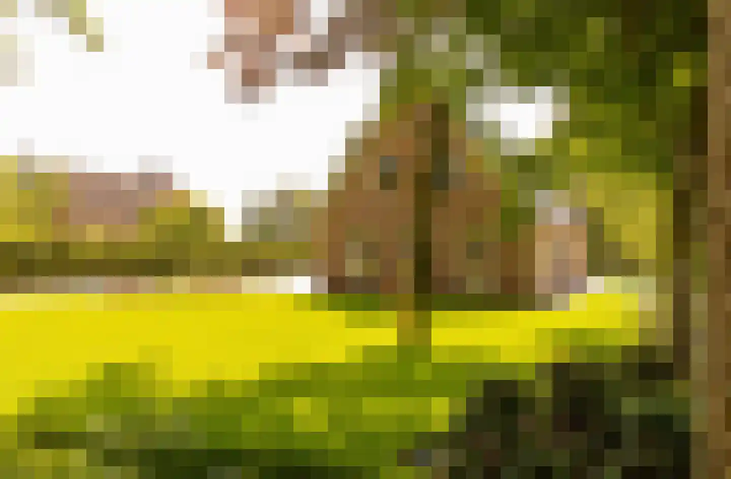 Oshaarseweg 23 a Echten thumbnail 68