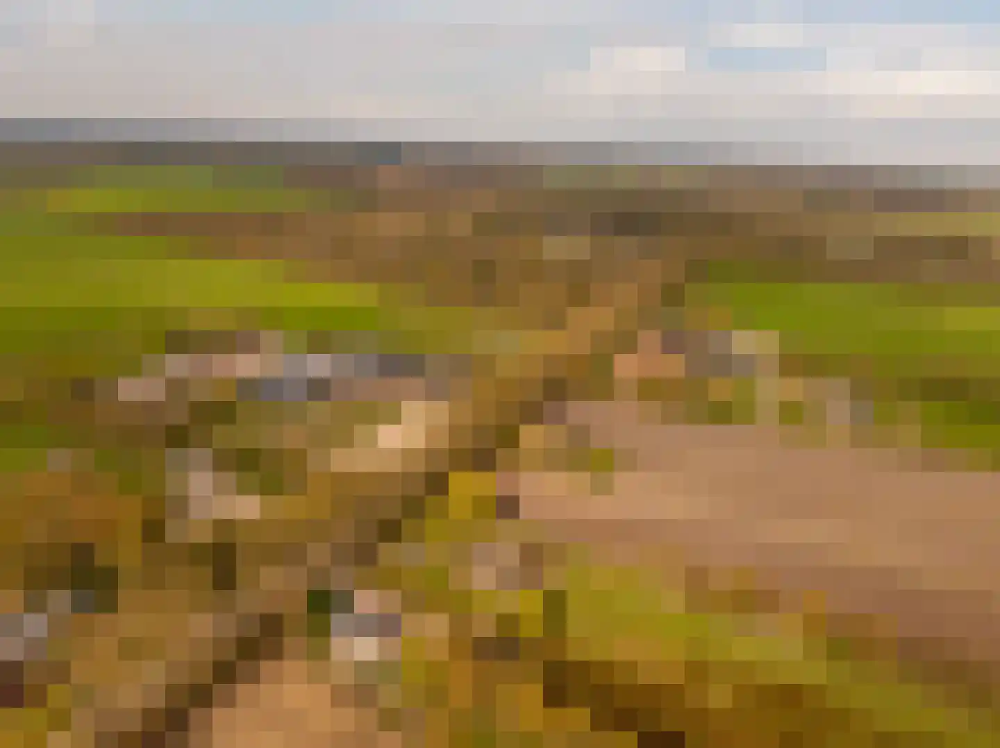 Oshaarseweg 23 a Echten thumbnail 68