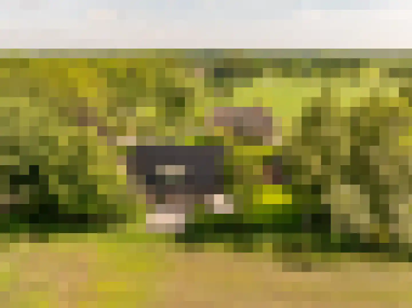 Oshaarseweg 23 a Echten thumbnail 69