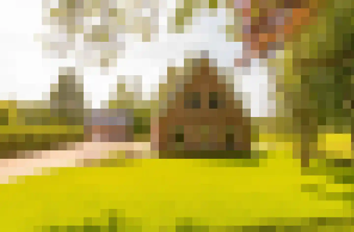 Oshaarseweg 23 a Echten thumbnail 7