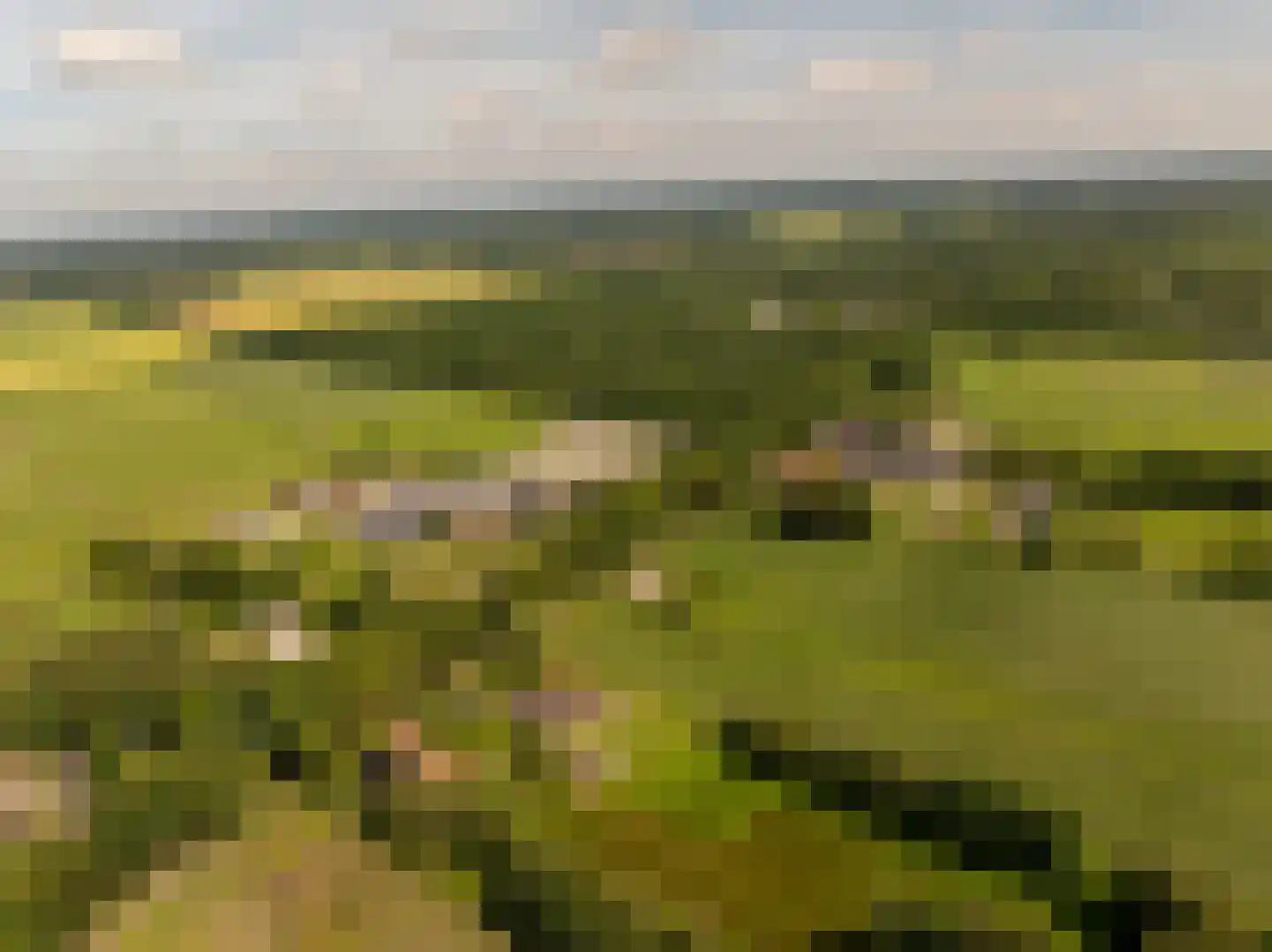 Oshaarseweg 23 a Echten thumbnail 70