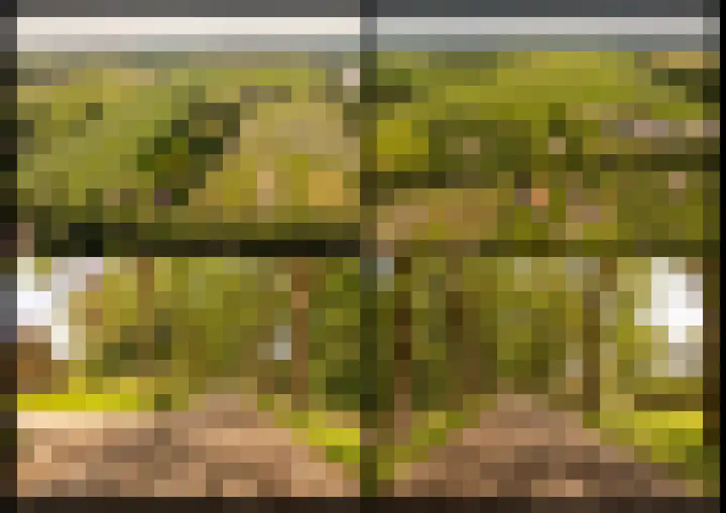 Oshaarseweg 23 a Echten thumbnail 71