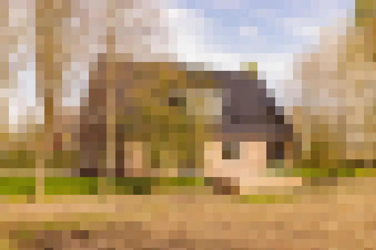 Oshaarseweg 23 a Echten thumbnail 8