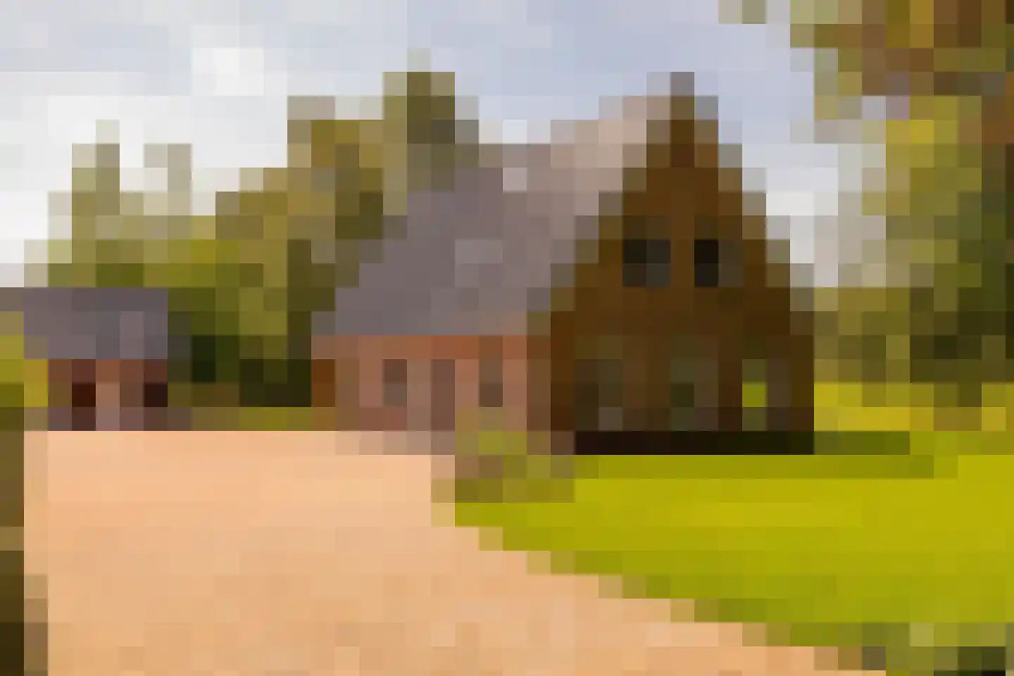 Oshaarseweg 23 a Echten thumbnail 9