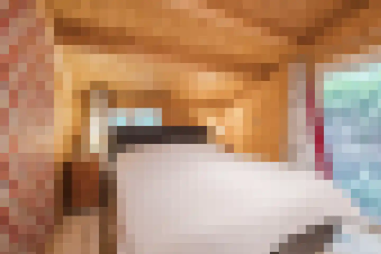 Oshaarseweg 24 104 Echten thumbnail 11