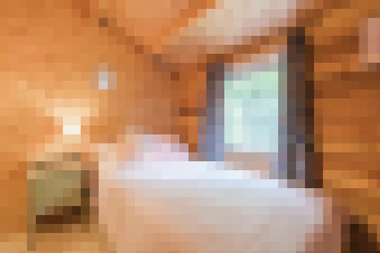 Oshaarseweg 24 104 Echten thumbnail 13