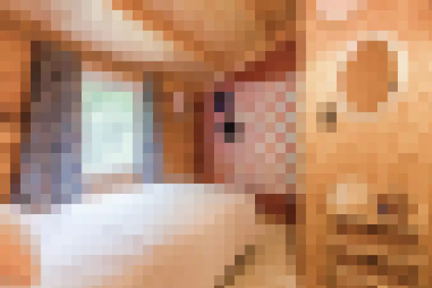 Oshaarseweg 24 104 Echten thumbnail 15