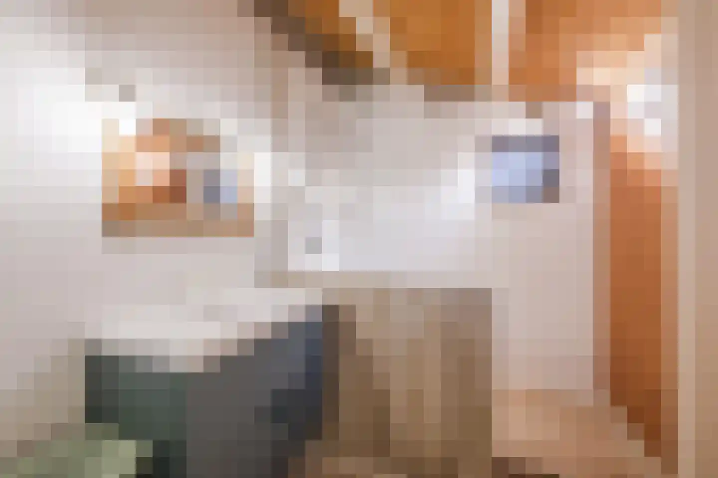 Oshaarseweg 24 104 Echten thumbnail 16