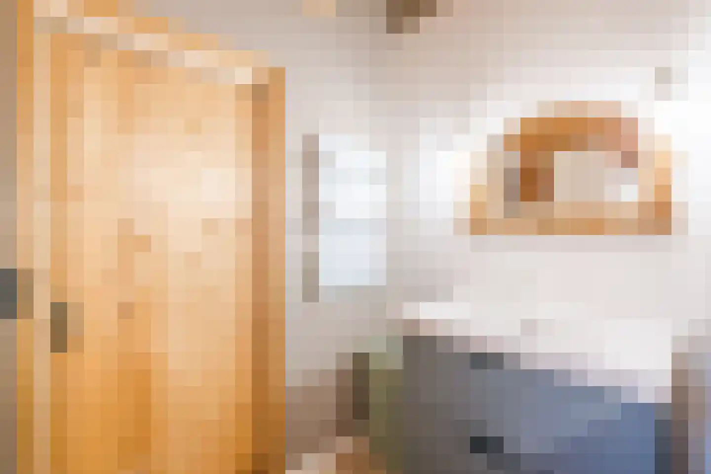 Oshaarseweg 24 104 Echten thumbnail 19