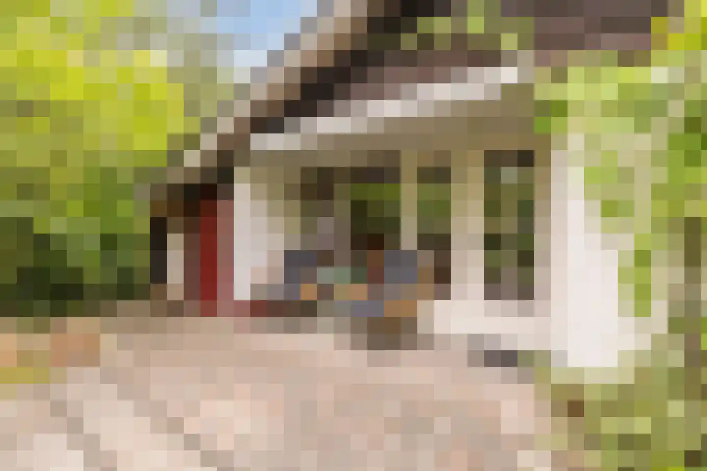 Oshaarseweg 24 104 Echten thumbnail 21