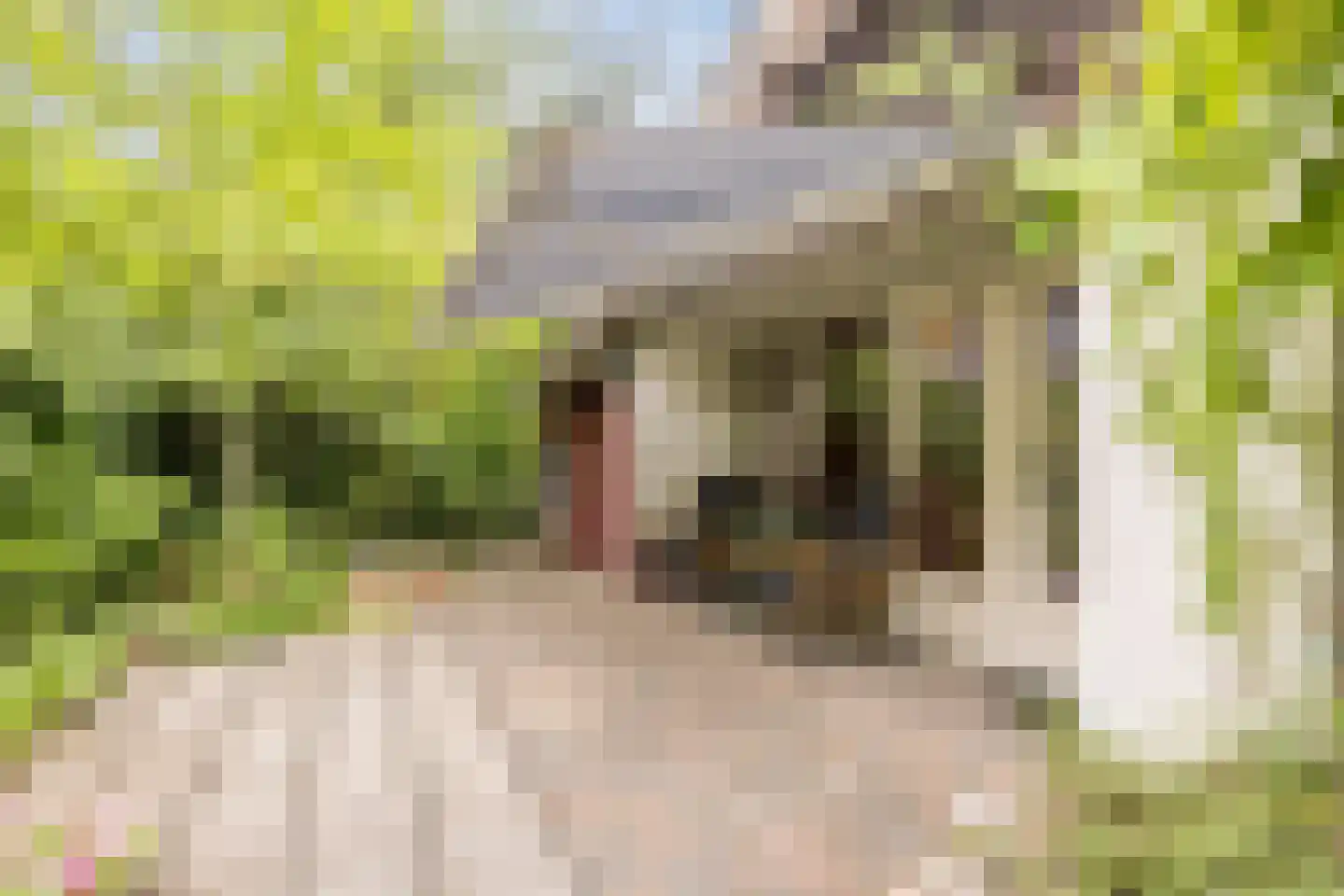 Oshaarseweg 24 104 Echten thumbnail 22