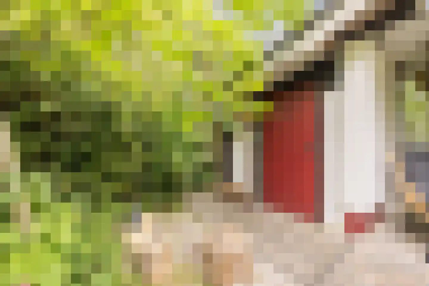 Oshaarseweg 24 104 Echten thumbnail 23
