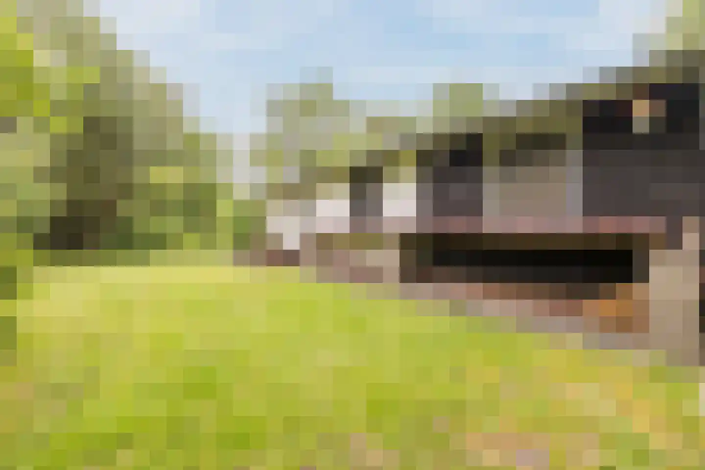 Oshaarseweg 24 104 Echten thumbnail 24