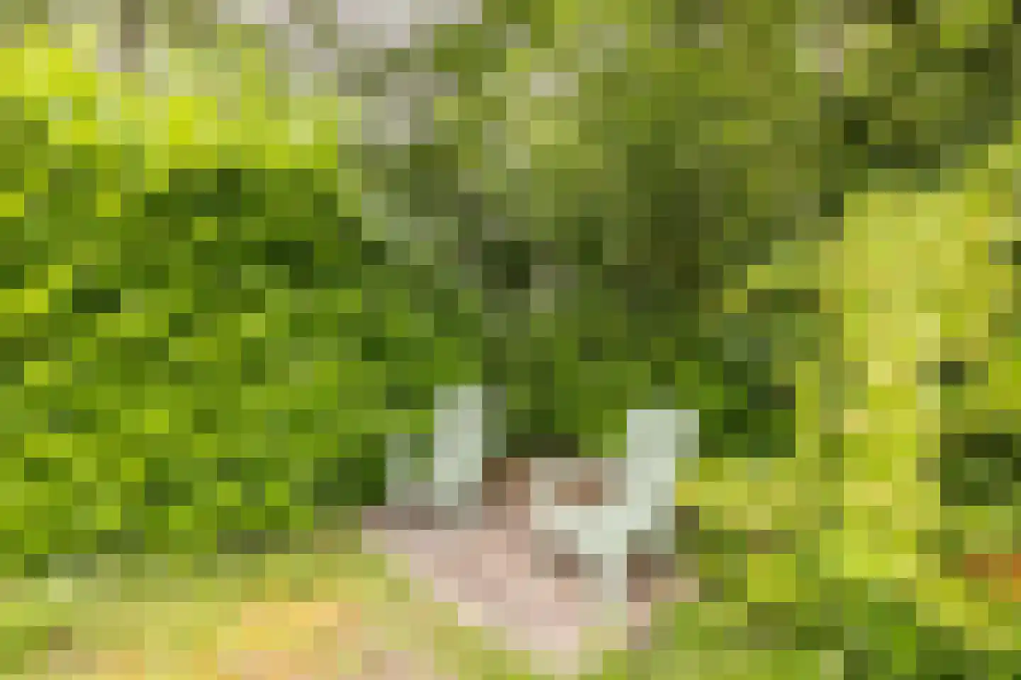 Oshaarseweg 24 104 Echten thumbnail 25