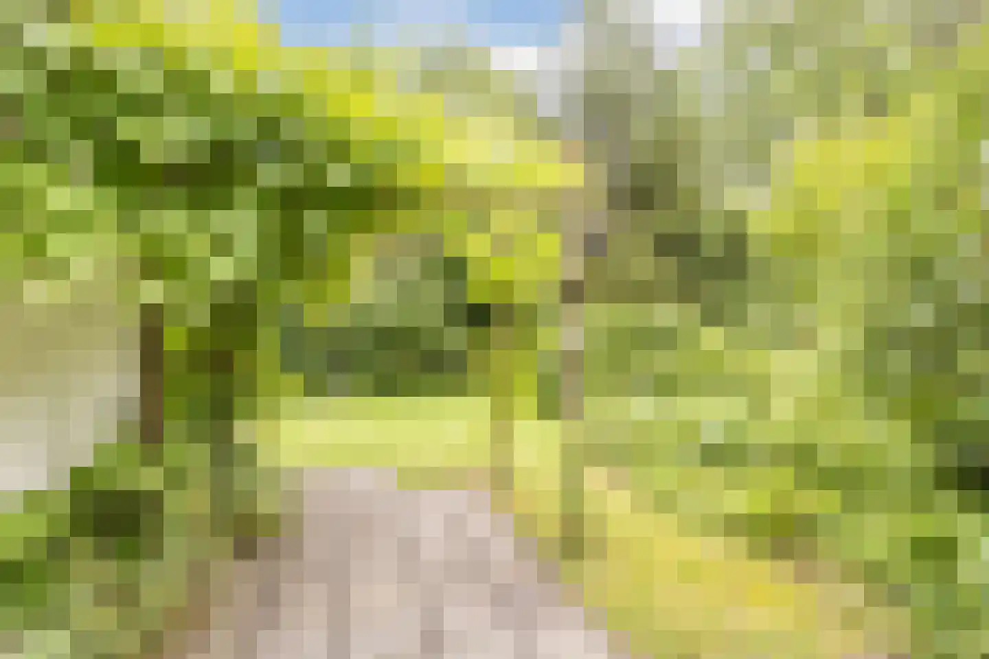 Oshaarseweg 24 104 Echten thumbnail 26