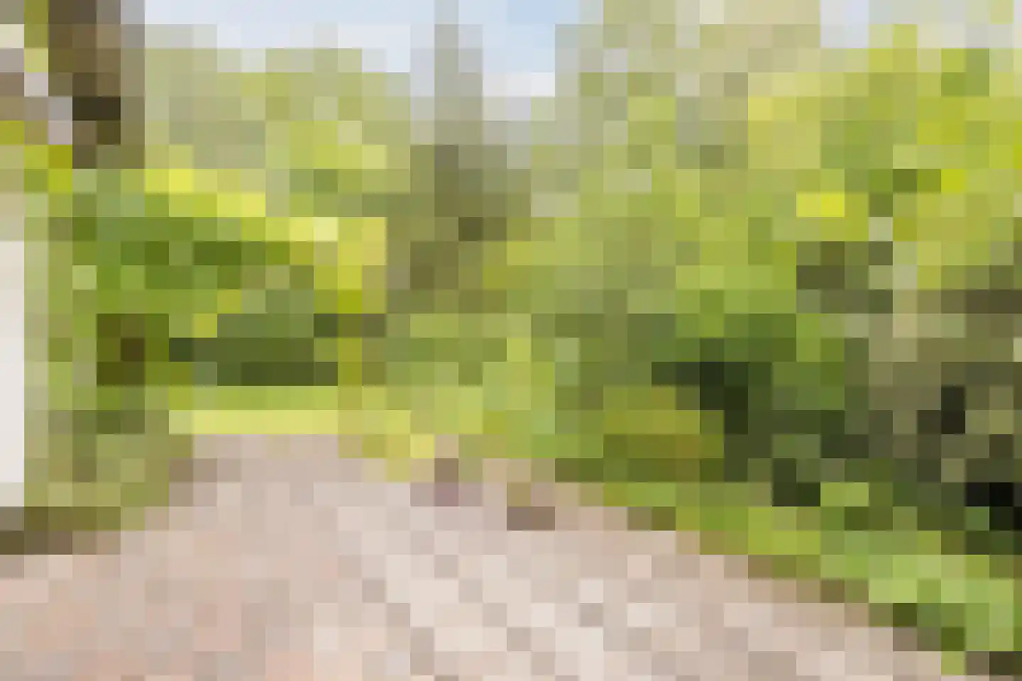 Oshaarseweg 24 104 Echten thumbnail 27