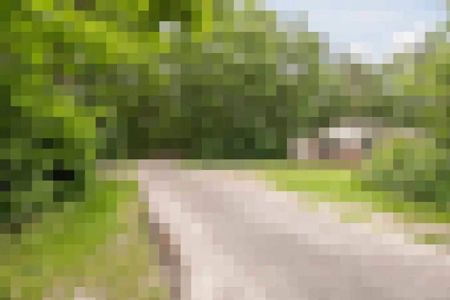 Oshaarseweg 24 104 Echten thumbnail 28