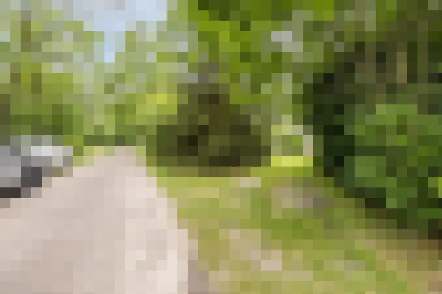 Oshaarseweg 24 104 Echten thumbnail 29