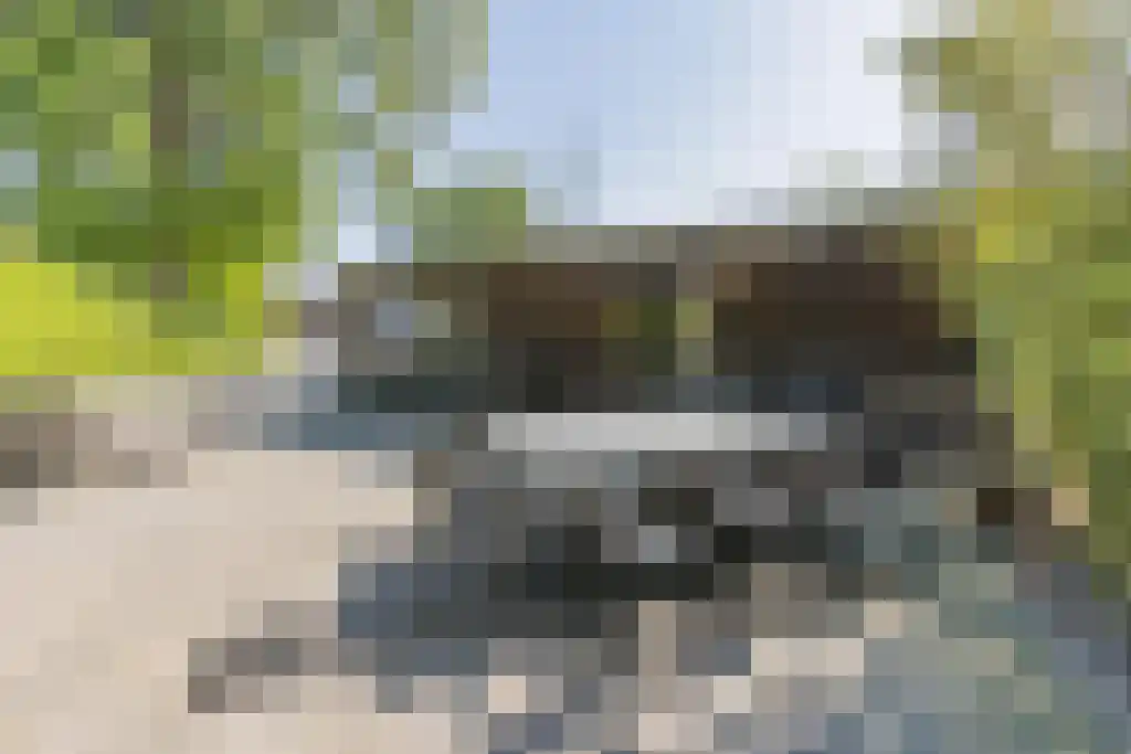 Oshaarseweg 24 104 Echten thumbnail 38