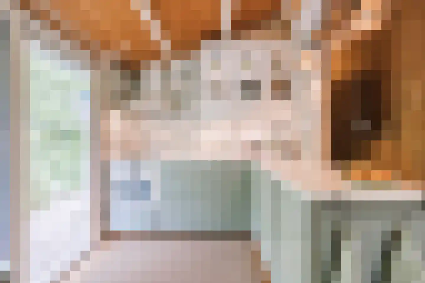Oshaarseweg 24 104 Echten thumbnail 7