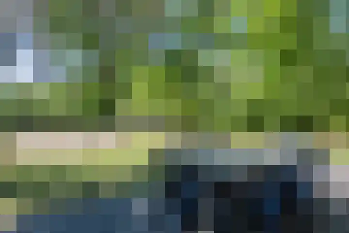 Oshaarseweg 24 126 Echten thumbnail 24
