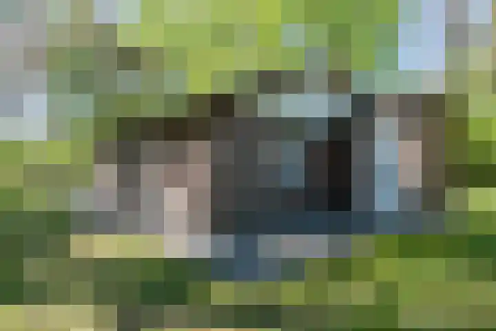 Oshaarseweg 24 126 Echten thumbnail 25