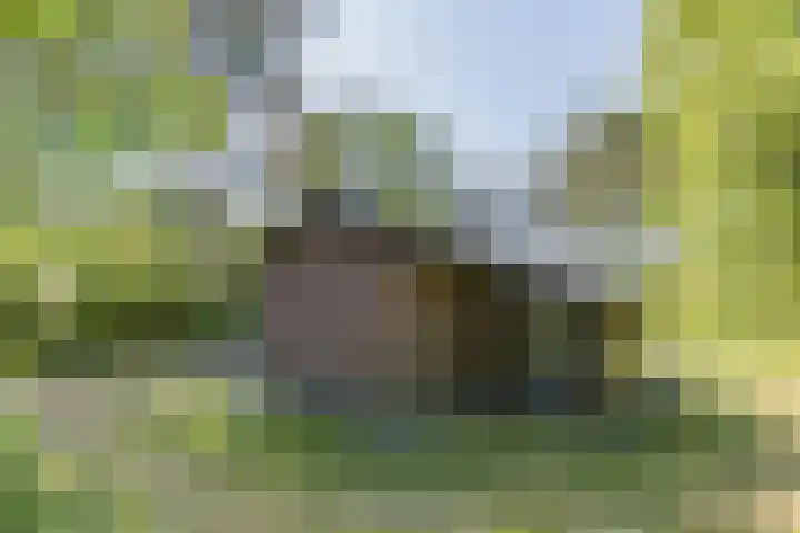 Oshaarseweg 24 126 Echten thumbnail 27