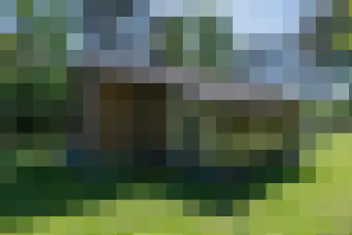 Oshaarseweg 24 126 Echten thumbnail 28