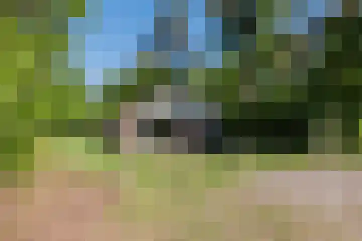 Oshaarseweg 24 126 Echten thumbnail 29