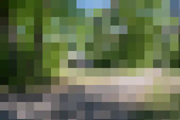 Oshaarseweg 24 126 Echten thumbnail 30