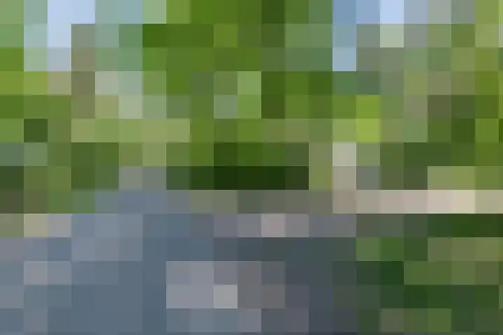 Oshaarseweg 24 126 Echten thumbnail 31