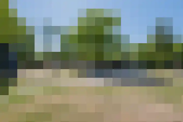 Oshaarseweg 24 126 Echten thumbnail 32