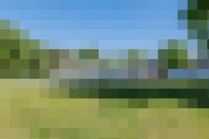 Oshaarseweg 24 126 Echten thumbnail 33
