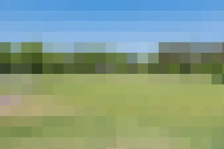 Oshaarseweg 24 126 Echten thumbnail 34