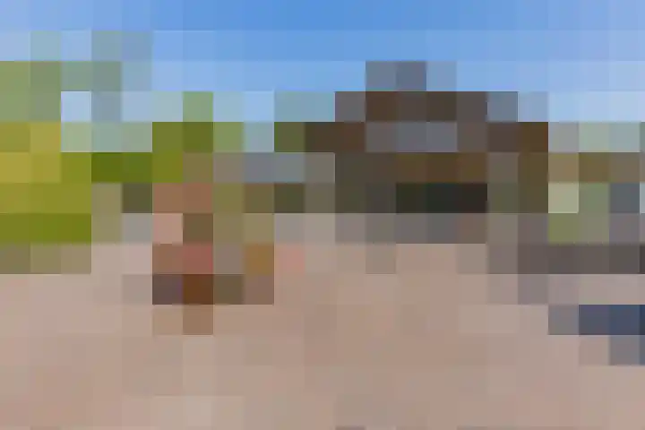Oshaarseweg 24 126 Echten thumbnail 35