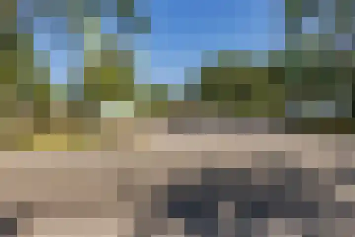 Oshaarseweg 24 126 Echten thumbnail 37
