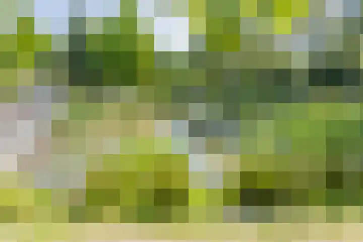 Oshaarseweg 24 126 Echten thumbnail 38
