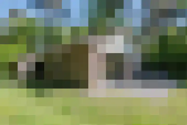 Oshaarseweg 24 126 Echten thumbnail 40