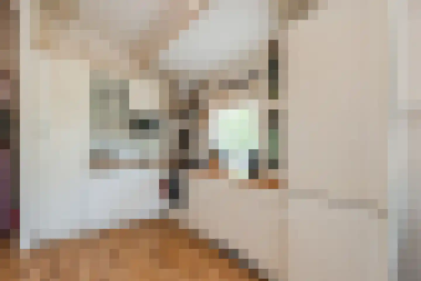Oshaarseweg 24 134 Echten thumbnail 10