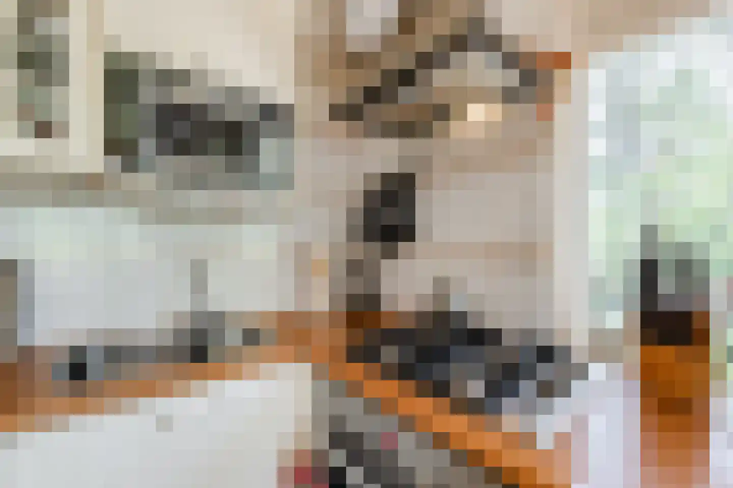 Oshaarseweg 24 134 Echten thumbnail 11